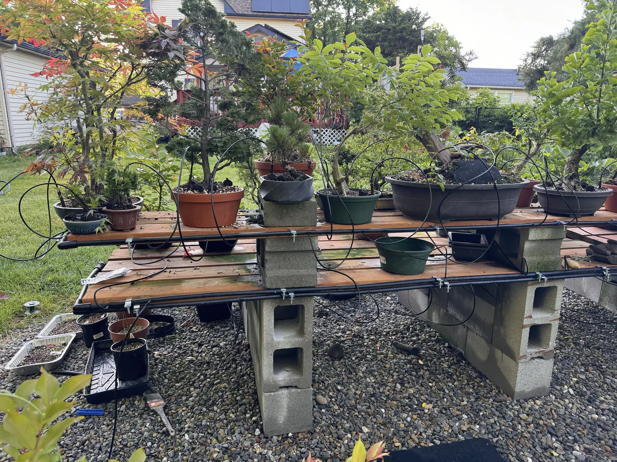 Black half-inch tubing clamped along the bench edges, with thin lines looping up into each pot