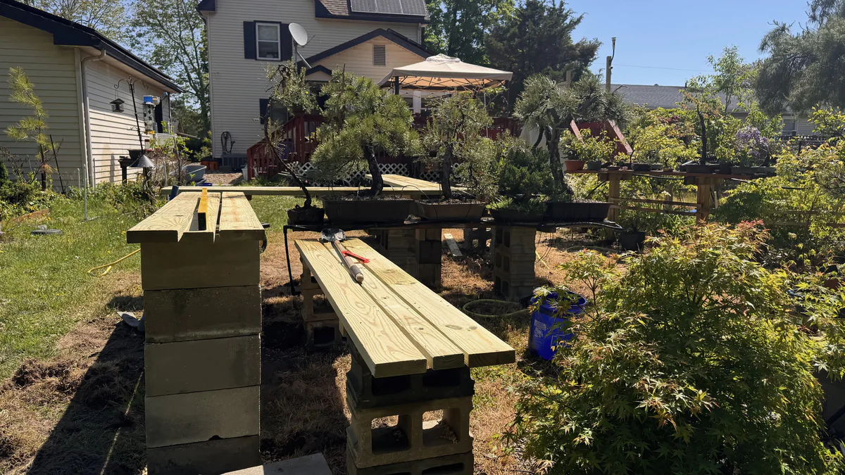 New benches being built beside the trees, with fresh lumber and cinder blocks