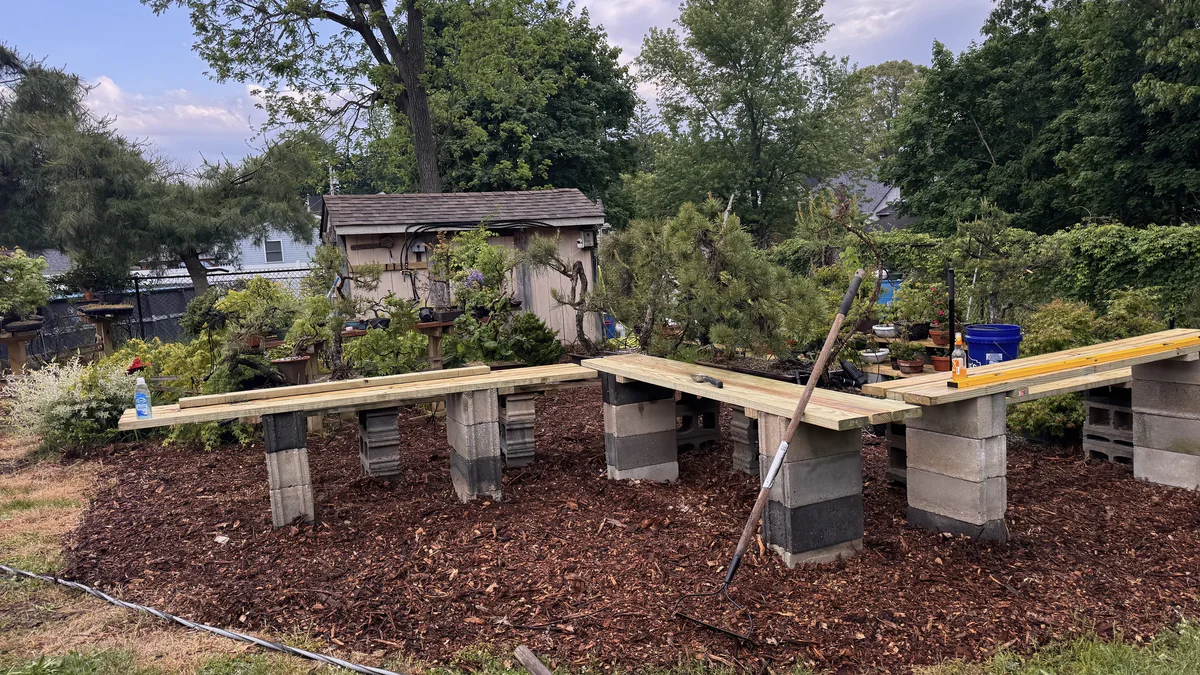New benches on cinder blocks on a fresh mulch bed, with the first trees in place