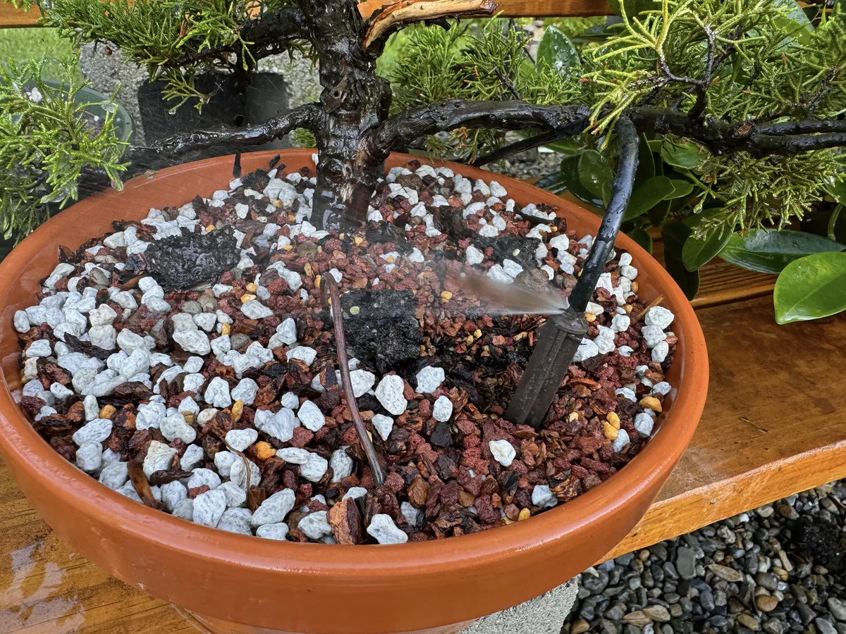 A staked Spot Spitter spraying a fan of water across the pumice and lava surface of a terracotta pot