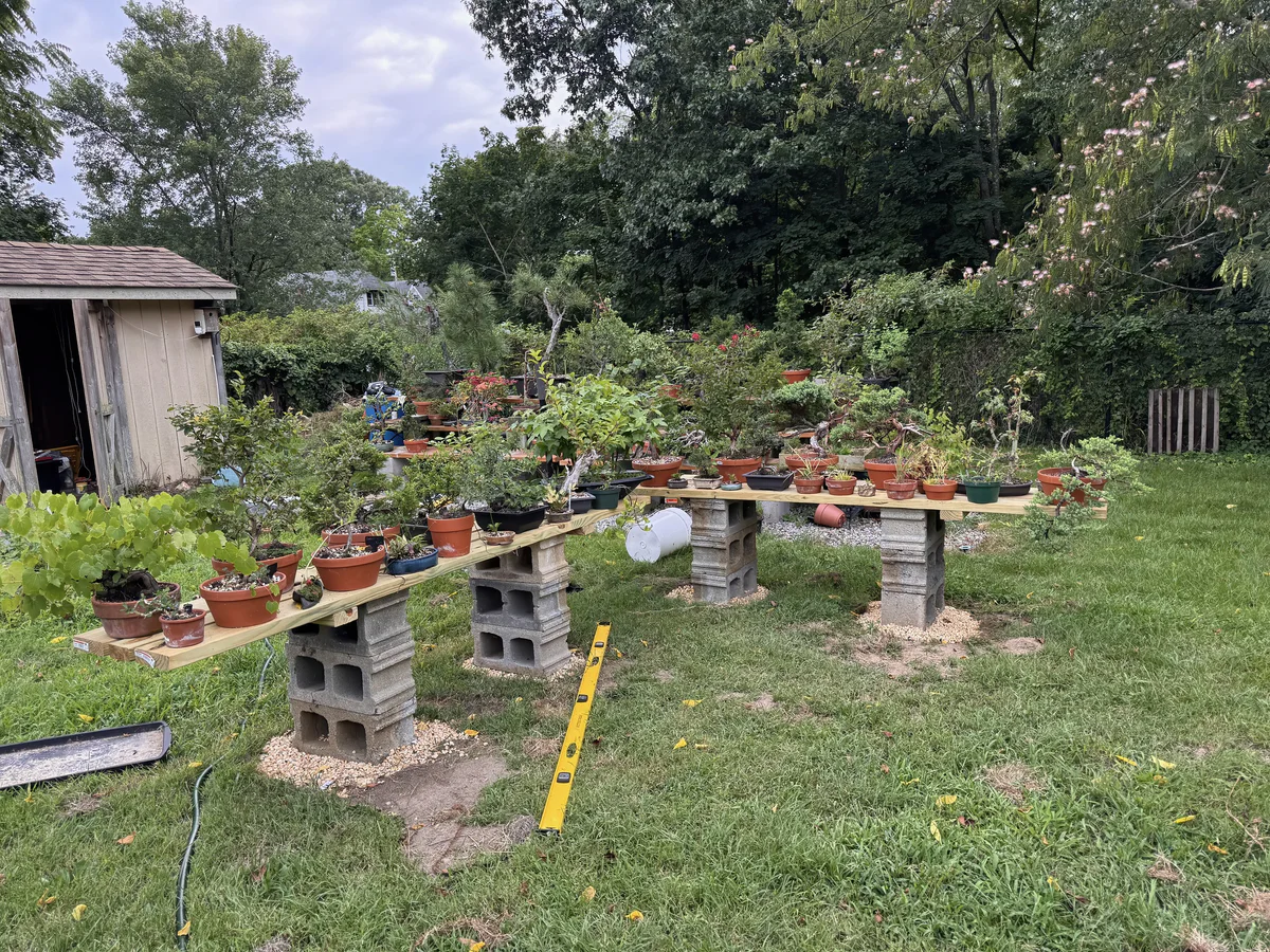 Two long benches of new lumber on cinder blocks, lined with potted trees, with a spirit level lying on the lawn